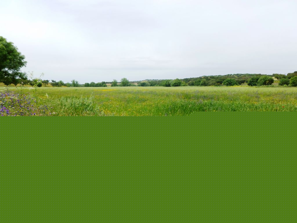 Herdade